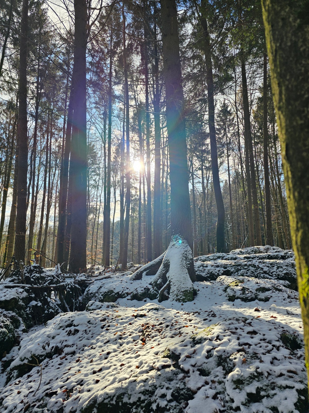Wenn dich die eigene Psyche am Schlawittchen&nbsp;hat