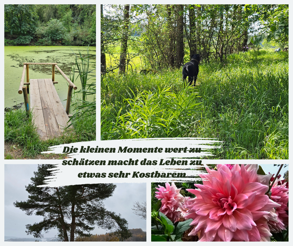 Der wertvolle Weg mit dem sanften&nbsp;Willen