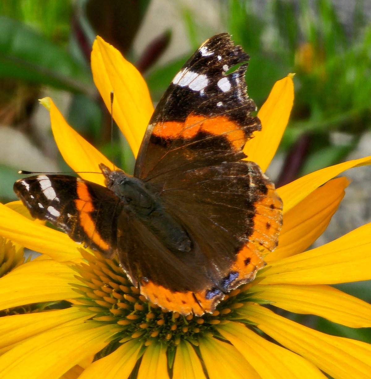 Wer ist eigentlich diese&nbsp;Gesellschaft?